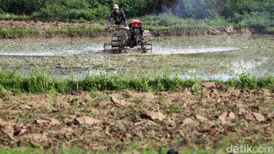 Geliat Petani Cikarang di Tengah Pandemi Corona