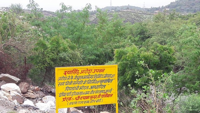 Dari situlah tradisi unik ini berawal. Seperti dikutip dari Brightside, Shyam ingin melindungi masa depan anak-anak perempuan di desanya, sehingga dia meluncurkan program yang tidak hanya membantu lingkungan tapi juga meningkatkan pendapatan mereka. Foto: Facebook/Piplantri Community