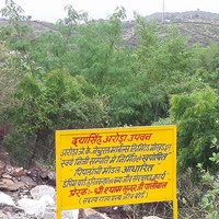 Dari situlah tradisi unik ini berawal. Seperti dikutip dari Brightside, Shyam ingin melindungi masa depan anak-anak perempuan di desanya, sehingga dia meluncurkan program yang tidak hanya membantu lingkungan tapi juga meningkatkan pendapatan mereka. Foto: Facebook/Piplantri Community