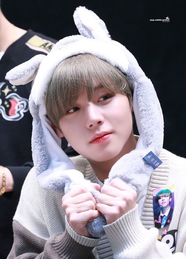 Park Jihoon adalah artis Korea yang dikenal sebagai idol KPop sekaligus aktor drama. Namanya melambung setelah mengikuti program Produce 101 dan berhasil masuk 11 besar sebagai grup Wanna One. Foto: Fansite