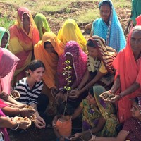 Tradisi yang dilakukan turun temurun ini membuat Piplantri jadi sebuah desa hijau nan rimbun. Setiap tahunnya desa ini juga semakin dipenuhi tumbuhan hijau. Sejak pohon pertama ditanam, saat ini sudah ada lebih dari 350 ribu pohon yang tumbuh di tanah kelahiran mereka. Foto: Facebook/Piplantri Community