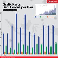 Grafik Corona RI 29 Mei: Kasus Baru Turun, Angka Kesembuhan Naik