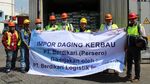 Daging Kerbau India Mulai Masuk Indonesia