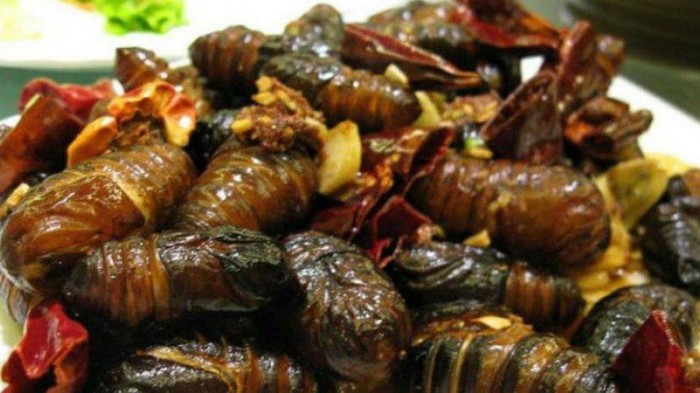 Makanan Aneh India