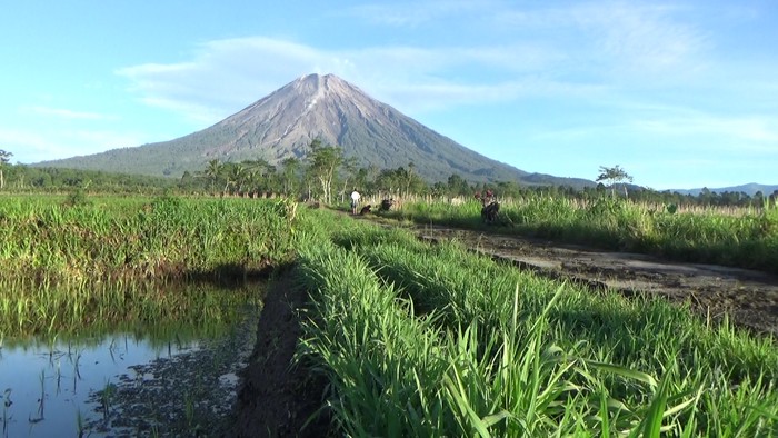 gunung semeru di lumajang