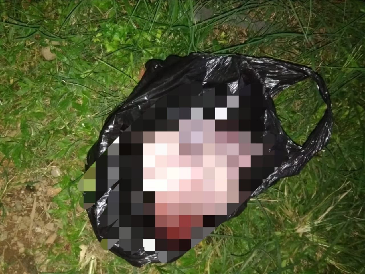 Kasus mayat bayi di kantong belanja di Bogor