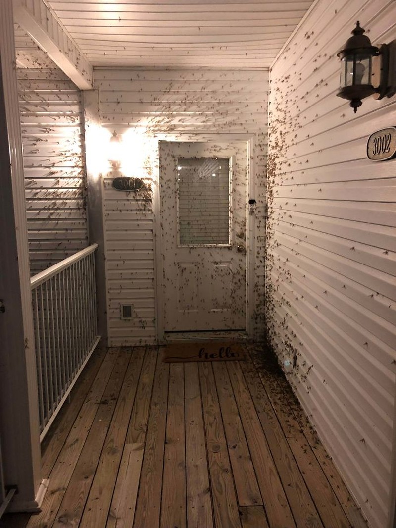 Foto alam liar bikin bergidik