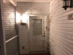 Kumpulan Foto Alam Liar yang Bikin Bergidik