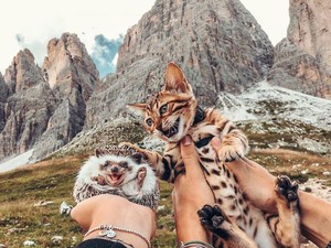 Ini Herbee dan Audree, Kucing dan Landak yang Suka Keliling Dunia