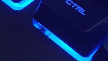 Bayangkan lagi sibuk kerja tiba-tiba melihat laba-laba sembunyi di bawah tombol keyboard. Foto: Bored Panda