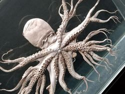 Kumpulan Foto Alam Liar yang Bikin Bergidik