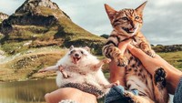Petualangan kedua hewan ini dibagikan lewat media sosial. Banyak pengikut yang terkesan dengan momen perjalanan mereka. (mr.Pokee/Instagram)