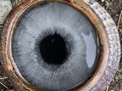 Kumpulan Foto Alam Liar yang Bikin Bergidik