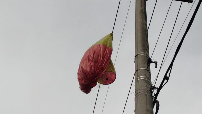 balon udara