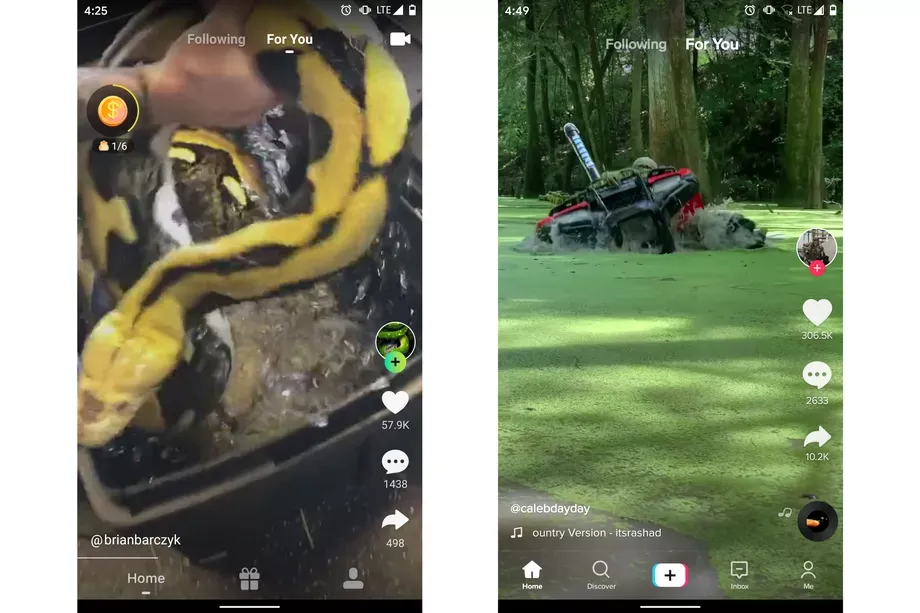 zynn tiktok