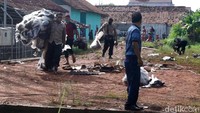 Petugas sementara ini telah mengamankan belasan balon udara yang belum sempat terbang.