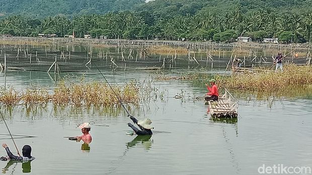Pemancing padati rawa Jombor di Klaten, Minggu (31/5/2020).