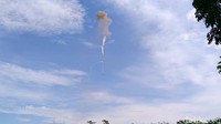 Dalam pantauan detikcom di lapangan, balon yang mengudara tahun ini tampak lebih banyak daripada tahun lalu. Di tengah pandemi Corona ini, warga juga kurang memperhatikan protokol kesehatan, penggunaan masker dan jaga jarak pada kerumunan.