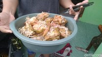 Netizen lain dengan akun Twitter @NO____SURPRISE juga memiliki opini sendiri tentang nama makanan aneh di Indonesia. Yaitu ketupat jembut, kuliner khas Semarang ini berupa ketupat yang diberikan isian tauge. Foto: Angling Adhitya Purbaya/detikcom