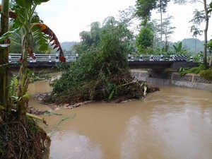 Sungai Tamban Meluap, Puluhan Rumah di Malang Selatan Tergenang Air
