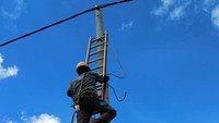 Dikutip dari Instagram PLN, @pln-id, tujuh desa  yang dilistriki itu adalah Desa Batu Sasak di Kabupaten Kampar, Desa Teluk Merbau, Terusan Kempas, Hibrida Jaya, Hibrida Mulia dan Tanjung Simpang di Kabupaten Indragiri Hilir serta Desa Pulau Topang di Kabupaten Kepulauan Meranti.Foto: Dok. PT PLN