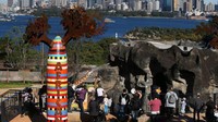 Kebun Binatang Taronga telah ditutup sementara pada tanggal 25 Maret 2020 sejalan dengan pembatasan pemerintah yang diberlakukan untuk membantu menghentikan penyebaran COVID-19.