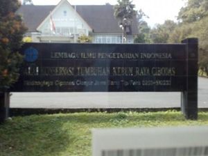 Menikmati Hawa Sejuk Kebun Raya Cibodas dan Aneka Wisatanya