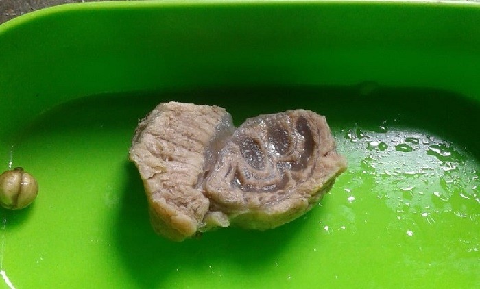 daging lafaz Allah