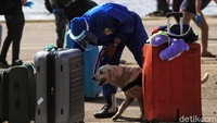 Khusus untuk barang bawaan diwajibkan melewati X-Ray dari Tim Bea Cukai serta pemeriksaan K-9/Anjing Pelacak Pom Lantamal III Jakarta.