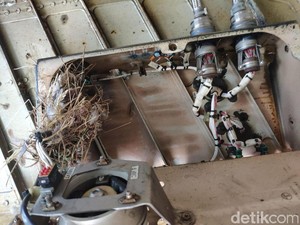 Saat Burung Bersarang di Pesawat yang Diparkir di Bandara