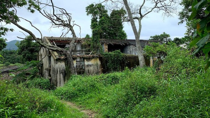 Desa Yin Tin Tsai di Hong Kong