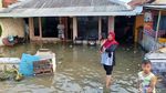 Gelombang Pasang Rendam Pemukiman Warga di Pekalongan