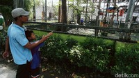 Warga hanya bisa melihat burung-burung dari luar Taman Burung Perak.
