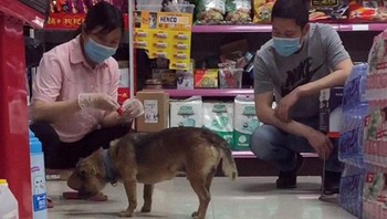 Pemilik mini market selalu menyapa Xiao Bao dan menghiburnya. Xiao Bao terlihat bingung mengapa majikannya tak kunjung muncul, namun bersikeras tetap menunggunya. Foto: via Bored Panda