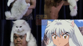 Bermodal kucing jadi InuYasha Foto: Lowcostcosplay