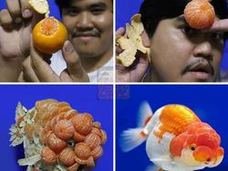 Karya Kreatif Cosplayer Gak Modal Ini Bikin Ngakak