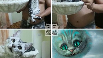 Lowcostcosplay kerap mengajak kucingnya. Foto: Lowcostcosplay 