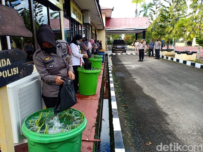 Polisi di Sulsel Budidaya Ikan Lele dan Hidroponi Untuk Stok Pangan