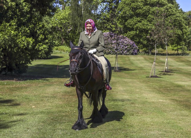 Menurut pernyataan resmi Istana Buckingham, Ratu Elizabeth II menunggangi kuda pony kesayangannya yang bernama Balmoral Fern. Kuda berwarna coklat tersebut sudah berusia 14 tahun. (Foto: Steve Parsons/Pool via AP)