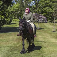 Menurut pernyataan resmi Istana Buckingham, Ratu Elizabeth II menunggangi kuda pony kesayangannya yang bernama Balmoral Fern. Kuda berwarna coklat tersebut sudah berusia 14 tahun. (Foto: Steve Parsons/Pool via AP)