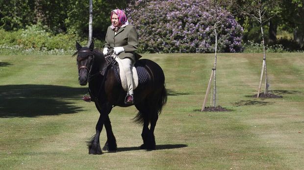 EMBARGOED: Not for publication or onward transmission before 2230 BST Sunday May 31, 2020. In this photo released Sunday May 31, 2020, Britain's Queen Elizabeth II rides Balmoral Fern, a 14-year-old Fell Pony, in Windsor Home Park over the weekend at the end of May, in Windsor, England. The Queen has been in residence at Windsor Castle during the COVID-19 coronavirus pandemic. (Steve Parsons/Pool via AP)
