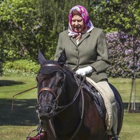 Seperti dikabarkan CNN, ini adalah foto pertama yang memperlihatkan kegiatan Ratu Elizabeth II sejak Inggris memberlakukan fase lockdown menyusul wabah COVID-19. Tampak nenek Pangeran William dan Harry ini dengan beraninya berkuda santai tanpa pelindung kepala. Berbalut blazer hijau, ia hanya menggunakan scarf pink untuk menutup kepala. (Foto: Steve Parsons/Pool via AP)