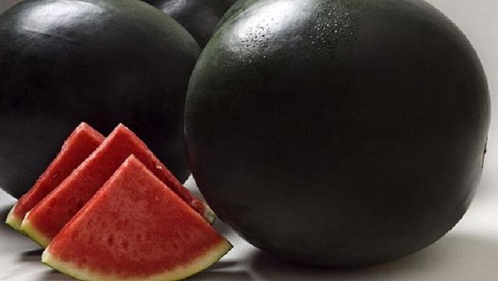 Buah Termahal di Dunia 5 buah termahal yang ada di dunia