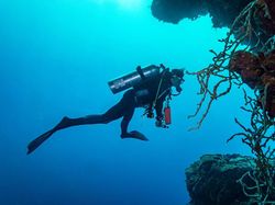 Nggak Nyangka! Penemu 9 Hal Ini Anak di Bawah Umur