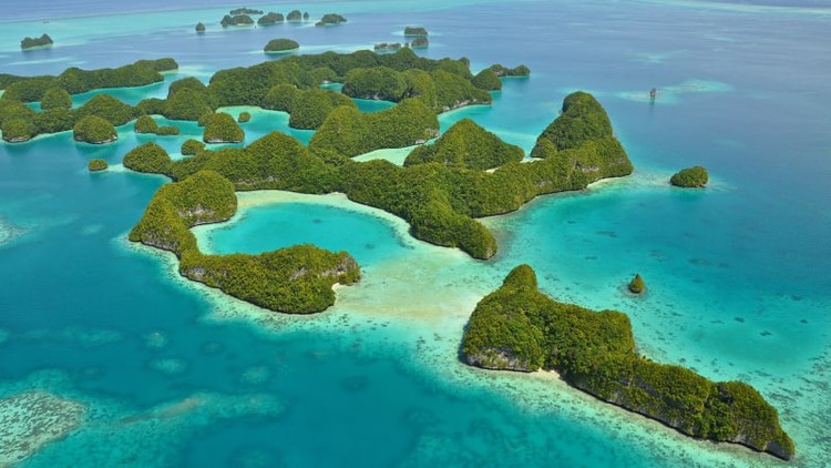 Palau, Micronesia Destinasi menyelam terbaik