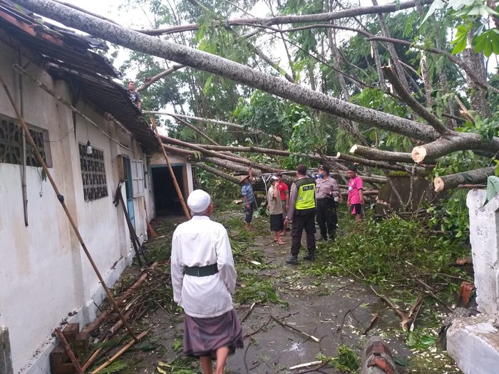 Diterjang Angin Kencang 11 Rumah dan Satu Mobil Tertimpa Pohon Roboh