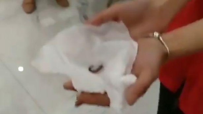 pegawai china dipaksa makan cacing pegawai china dipaksa makan cacing