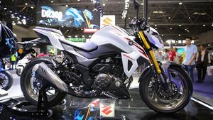Penampakan Motor Suzuki Pesaing MT-25 dan Z250