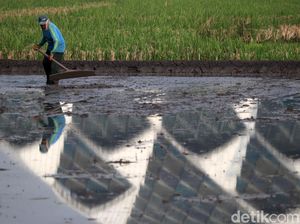 Tingkatkan Produksi Padi, Jabar Dorong Penerapan Teknologi Salibu