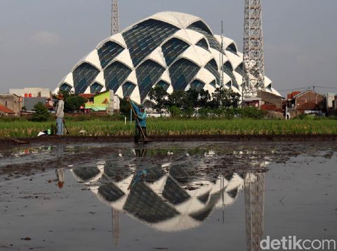 Demi menjaga ketahanan pangan ditengah pandemi COVID-19 yang terjadi di Kota Bandung, sejumlah petani padi menggarap sawah ditengah pandemi COVID-19.
